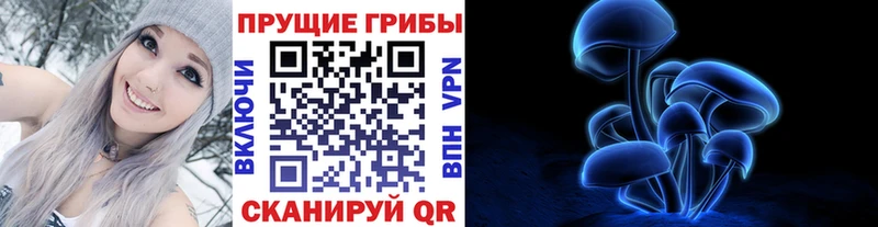 Псилоцибиновые грибы MAGIC MUSHROOMS блэк спрут Почеп